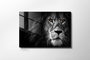Wallity Cuadro decorativo de cristal templado Multicolor 50 x 70 cm